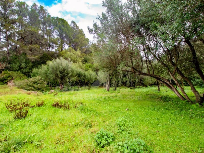 3 chambre Finca/Maison de Campagne à vendre à Es Mercadal avec piscine - 655 000 € (Ref: 8045481)