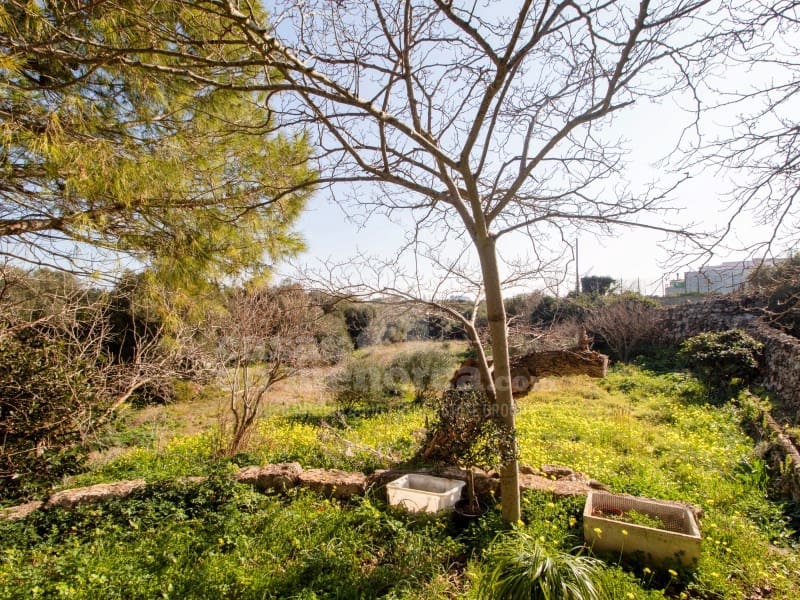 4 soveværelse Finca/Landehus til salg i Ciutadella de Menorca - € 700.000 (Ref: 8093885)