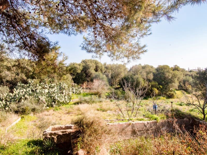 4 soveværelse Finca/Landehus til salg i Ciutadella de Menorca - € 700.000 (Ref: 8093885)