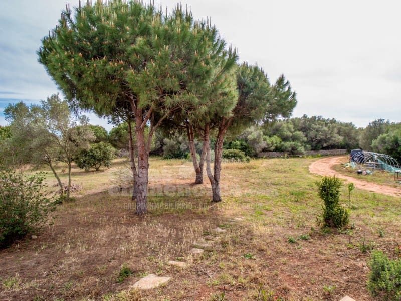 10 quarto Quinta/Casa Rural para venda em Llucmacanes com piscina garagem - 2 500 000 € (Ref: 8440773)