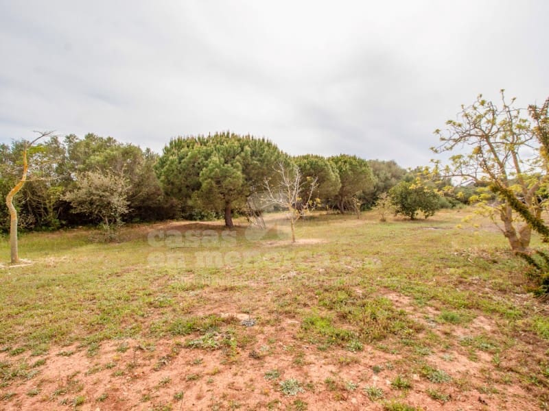 10 quarto Quinta/Casa Rural para venda em Llucmacanes com piscina garagem - 2 500 000 € (Ref: 8440773)