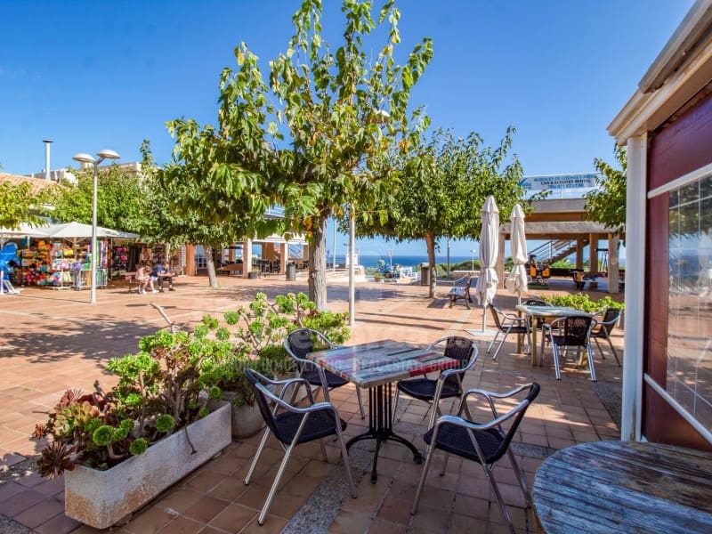 Ravintola/baari myytävänä paikassa Coves Noves - 300 000 € (Ref: 8595510)