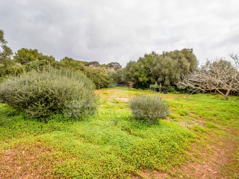 2 sovrum Finca/Hus på landet till salu i San Luis / Sant Lluis - 565 000 € (Ref: 8828147)