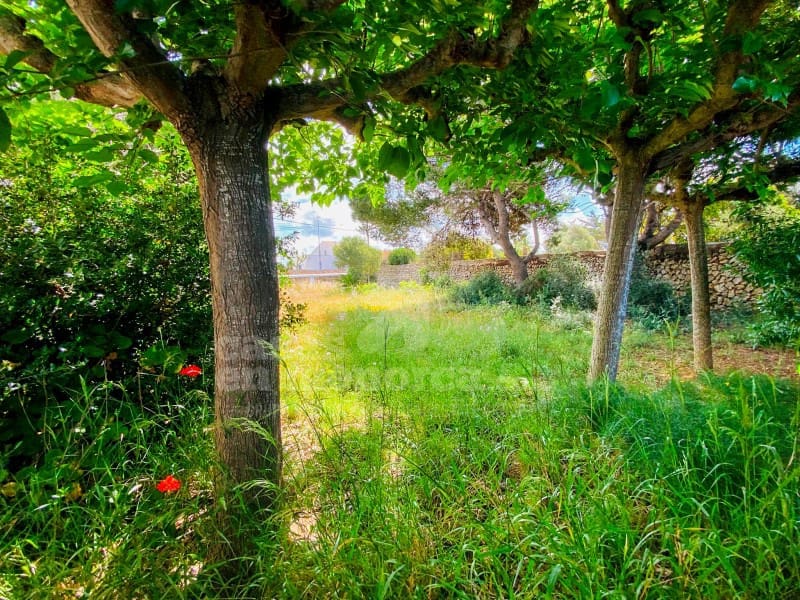 4 slaapkamer Finca/Landhuis te koop in Cala Blanca - € 625.000 (Ref: 8881832)