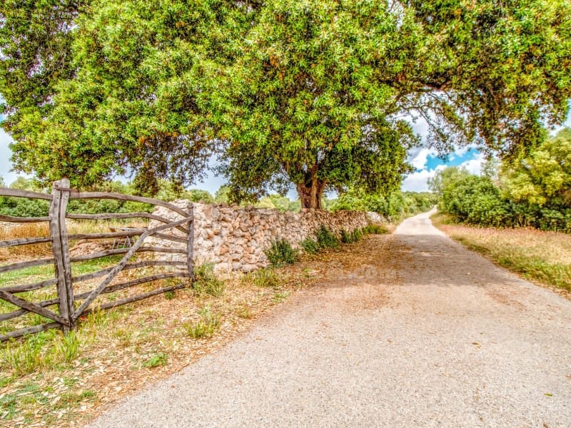 6 makuuhuone Maalaistalo myytävänä paikassa Alayor / Alaior mukana 
autotalli - 2 690 000 € (Ref: 9007664)