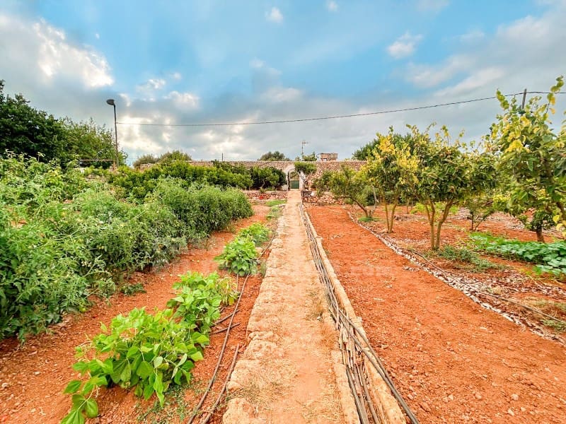 Ubebygd land til salgs i Cala Blanca - € 685 000 (Ref: 9173417)