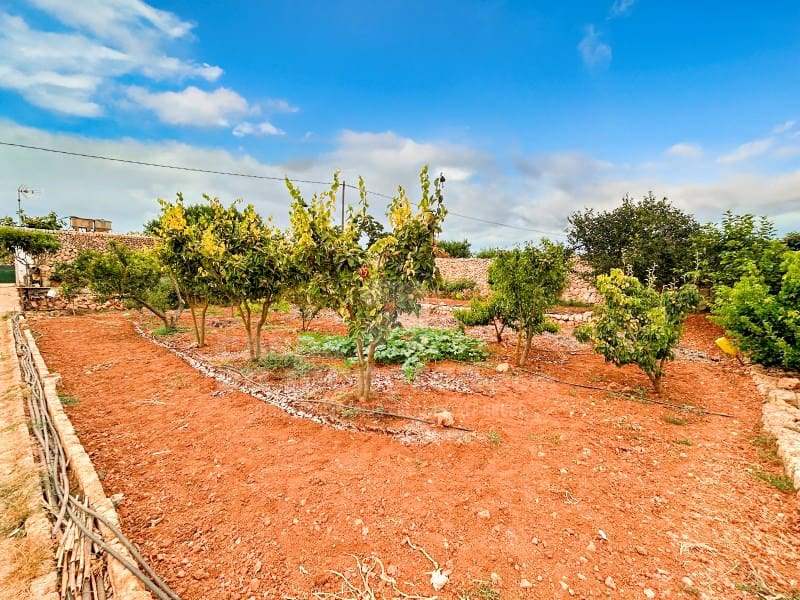 Ubebygd land til salgs i Cala Blanca - € 685 000 (Ref: 9173417)