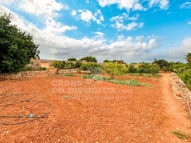 Mark till salu i Cala Blanca, Ciutadella de Menorca - 685 000 € (Ref: 9173417)