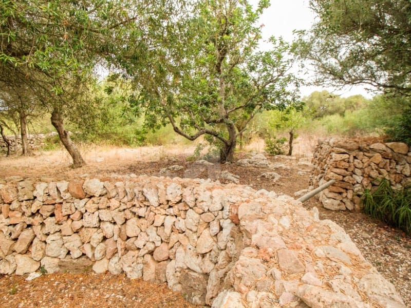 4 soveværelse Finca/Landehus til salg i Trebaluger med garage - € 1.200.000 (Ref: 9188400)