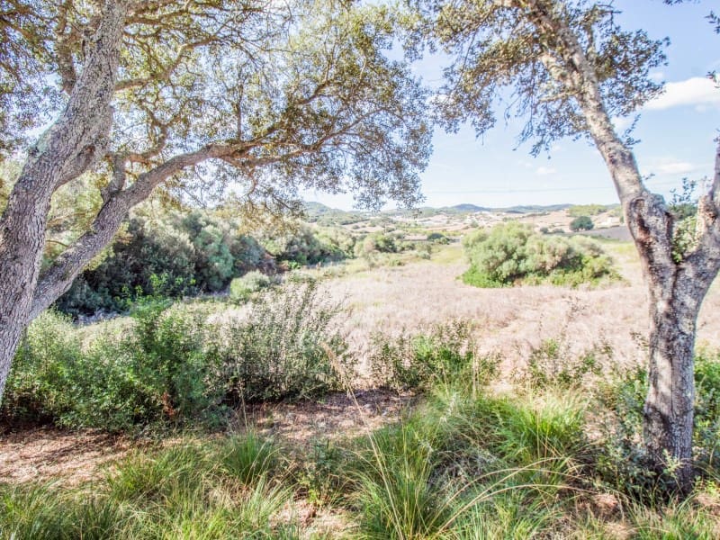 3 soveværelse Finca/Landehus til salg i Es Mercadal - € 750.000 (Ref: 9227007)