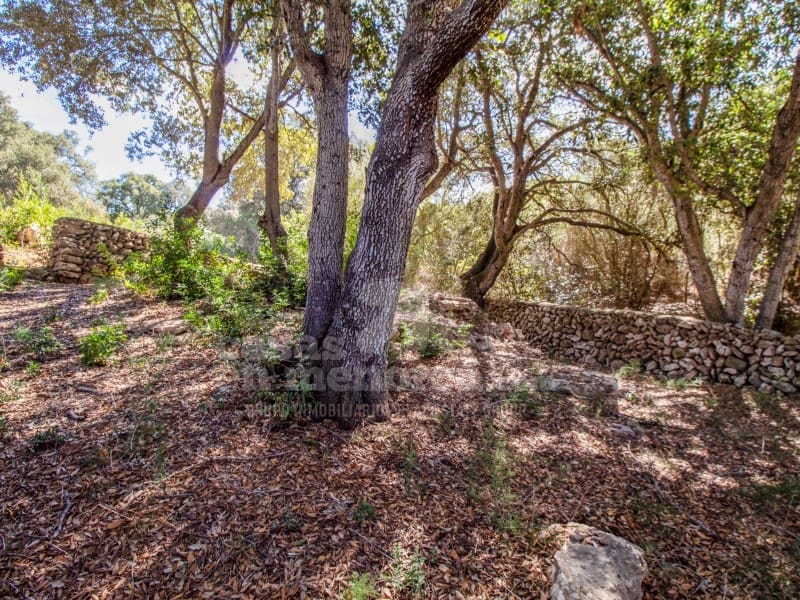 3 soveværelse Finca/Landehus til salg i Es Mercadal - € 750.000 (Ref: 9227007)