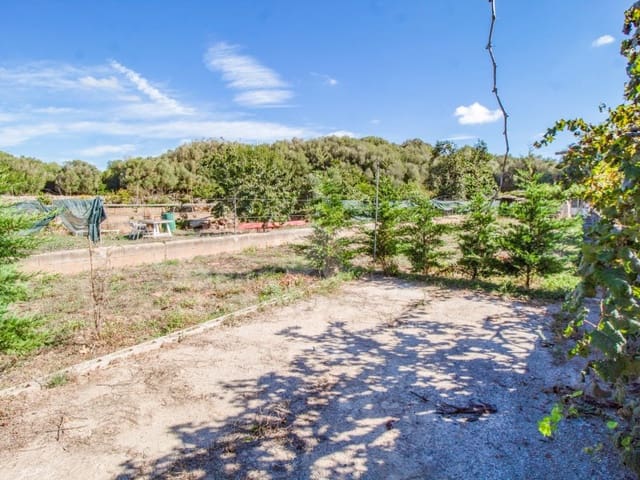 Undeveloped Land for sale in El Migjorn Gran / Es Migjorn Gran - € 150,000 (Ref: 9232859)