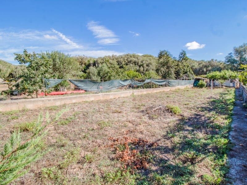 Mark till salu i El Migjorn Gran / Es Migjorn Gran - 150 000 € (Ref: 9232859)