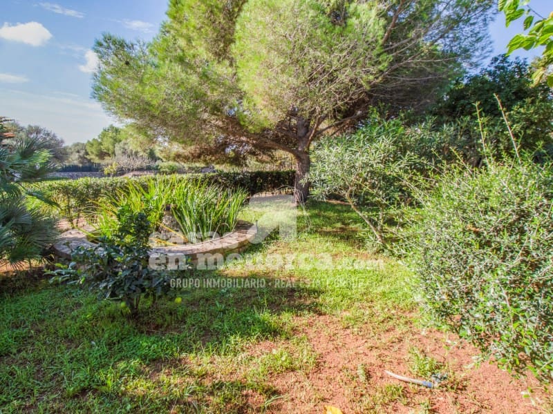 3 makuuhuone Maalaistalo myytävänä paikassa San Luis / Sant Lluis mukana uima-altaan - 495 000 € (Ref: 9331014)