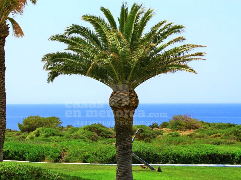 7 Zimmer Villa zu verkaufen in San Clemente / Sant Climent mit Pool Garage - 1.700.000 € (Ref: 9616135)