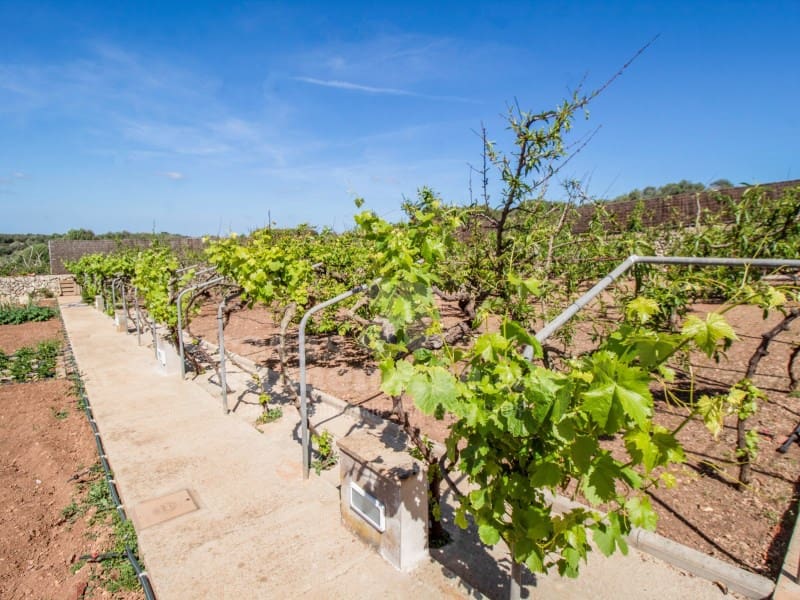 3 makuuhuone Omakotitalo myytävänä paikassa Alayor / Alaior mukana uima-altaan 
autotalli - 1 275 000 € (Ref: 9807879)