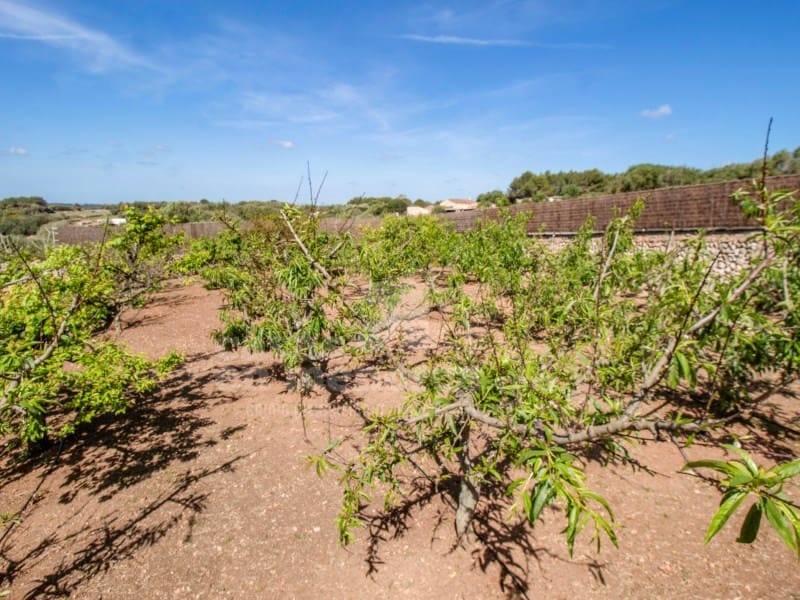 3 makuuhuone Omakotitalo myytävänä paikassa Alayor / Alaior mukana uima-altaan 
autotalli - 1 275 000 € (Ref: 9807879)