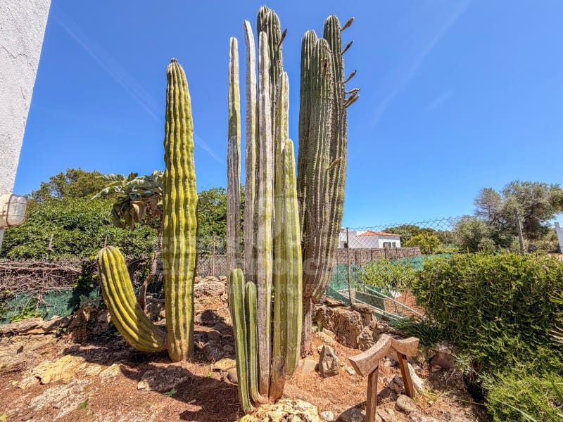 3 sovrum Finca/Hus på landet till salu i Cala Blanca med garage - 835 000 € (Ref: 9868431)