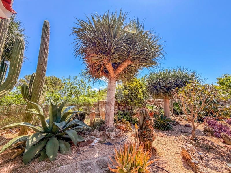 3 sovrum Finca/Hus på landet till salu i Cala Blanca med garage - 835 000 € (Ref: 9868431)