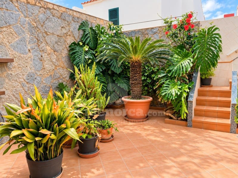 2 quarto Casa em Banda para venda em Es Castell - 398 000 € (Ref: 9878787)