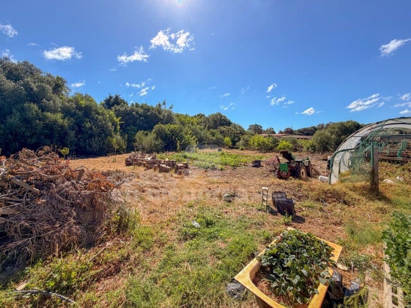 3 sypialnia Finka/Dom wiejski na sprzedaż w Cala Blanca z basenem - 595 000 € (Ref: 9910409)