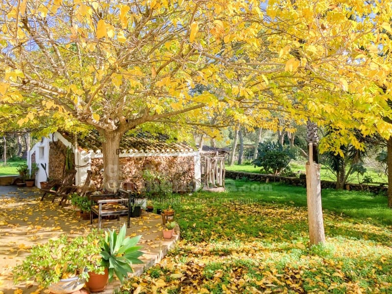 4 soveværelse Finca/Landehus til salg i Serra Morena med swimmingpool - € 1.150.000 (Ref: 9962323)