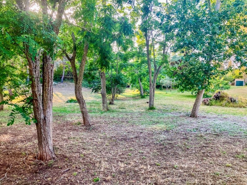 4 soveværelse Finca/Landehus til salg i Serra Morena med swimmingpool - € 1.150.000 (Ref: 9962323)