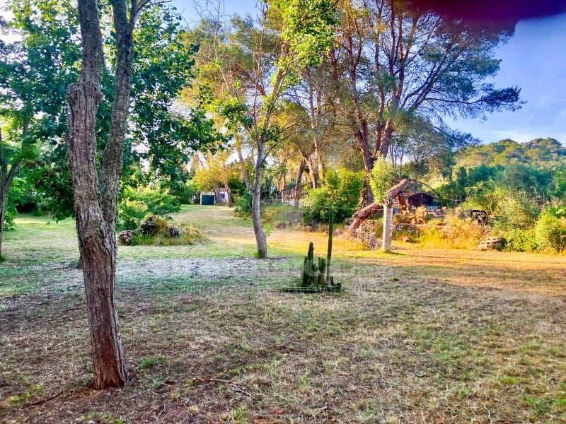 4 soveværelse Finca/Landehus til salg i Serra Morena med swimmingpool - € 1.150.000 (Ref: 9962323)