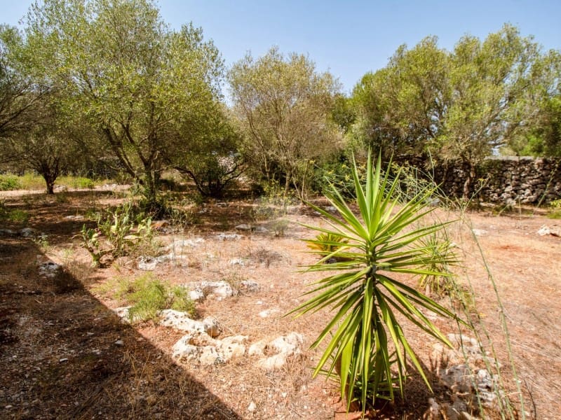 4 slaapkamer Finca/Landhuis te koop in San Luis / Sant Lluis met zwembad - € 795.000 (Ref: 9970296)