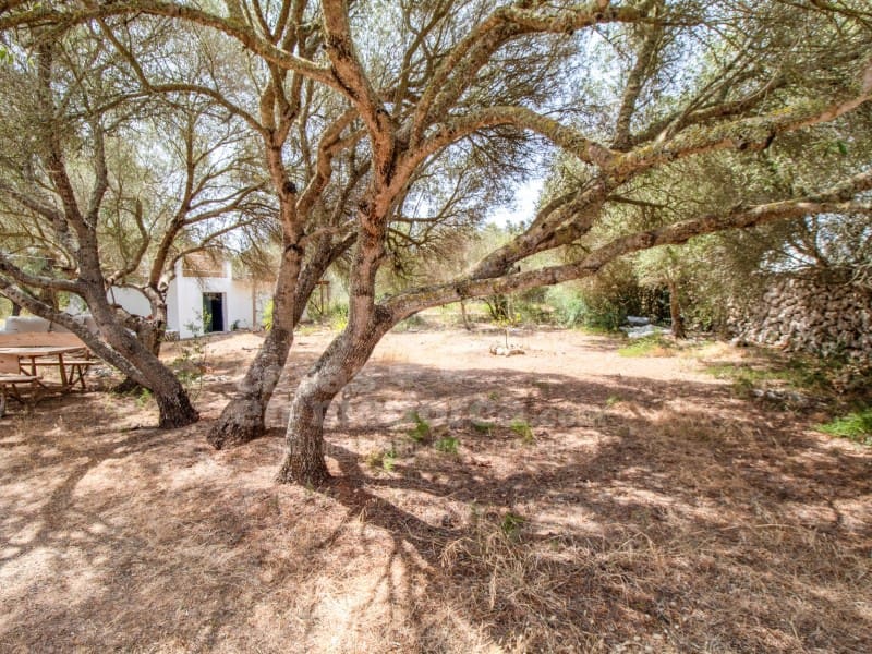 4 slaapkamer Finca/Landhuis te koop in San Luis / Sant Lluis met zwembad - € 795.000 (Ref: 9970296)