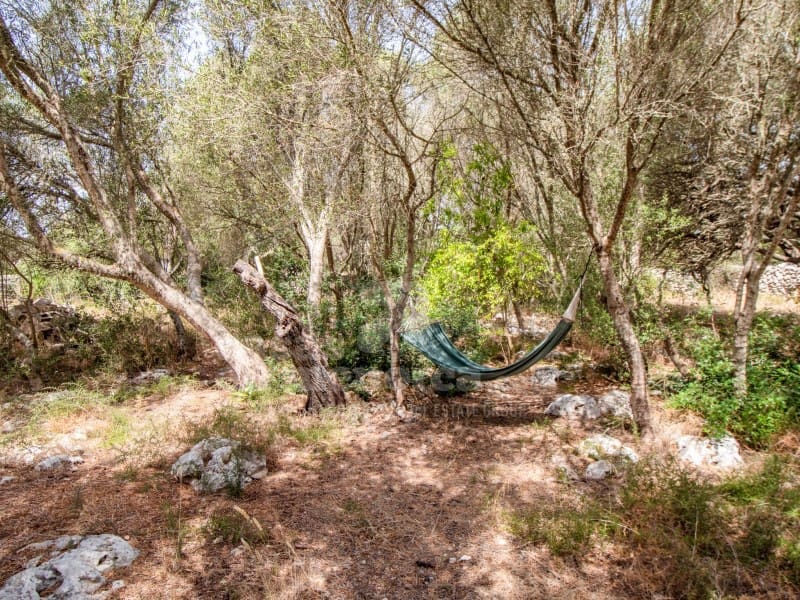 4 slaapkamer Finca/Landhuis te koop in San Luis / Sant Lluis met zwembad - € 795.000 (Ref: 9970296)
