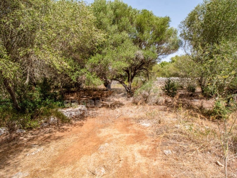 4 slaapkamer Finca/Landhuis te koop in San Luis / Sant Lluis met zwembad - € 795.000 (Ref: 9970296)
