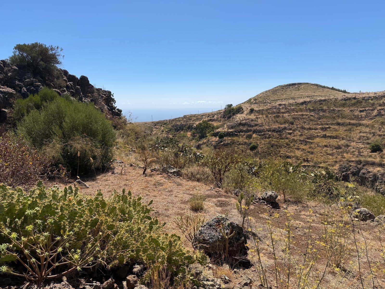2 quarto Quinta/Casa Rural para venda em Ingenio com piscina garagem - 599 900 € (Ref: 10035399)