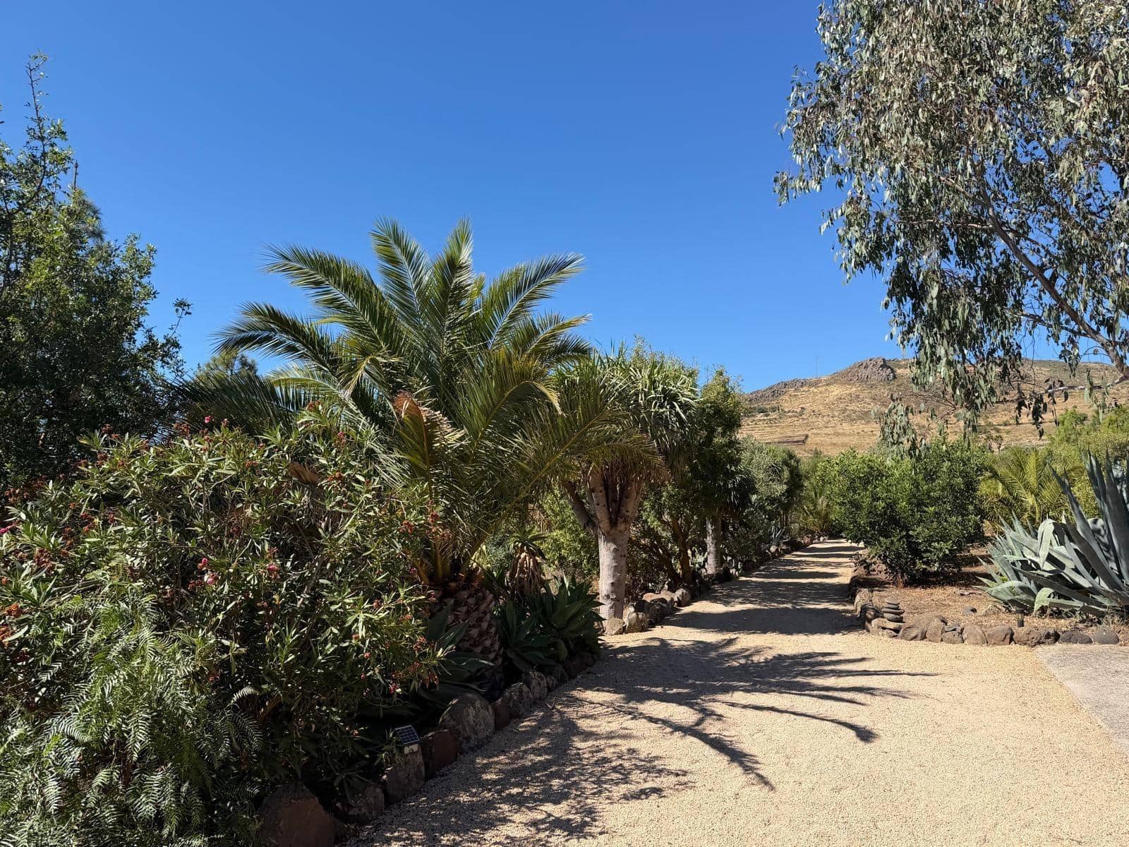2 quarto Quinta/Casa Rural para venda em Ingenio com piscina garagem - 599 900 € (Ref: 10035399)