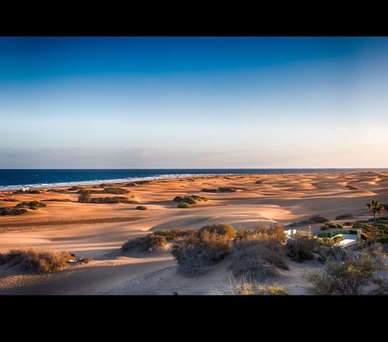 Local Comercial en Playa del Inglés, San Bartolomé de Tirajana en alquiler - 4.000 € (Ref: 10102627)