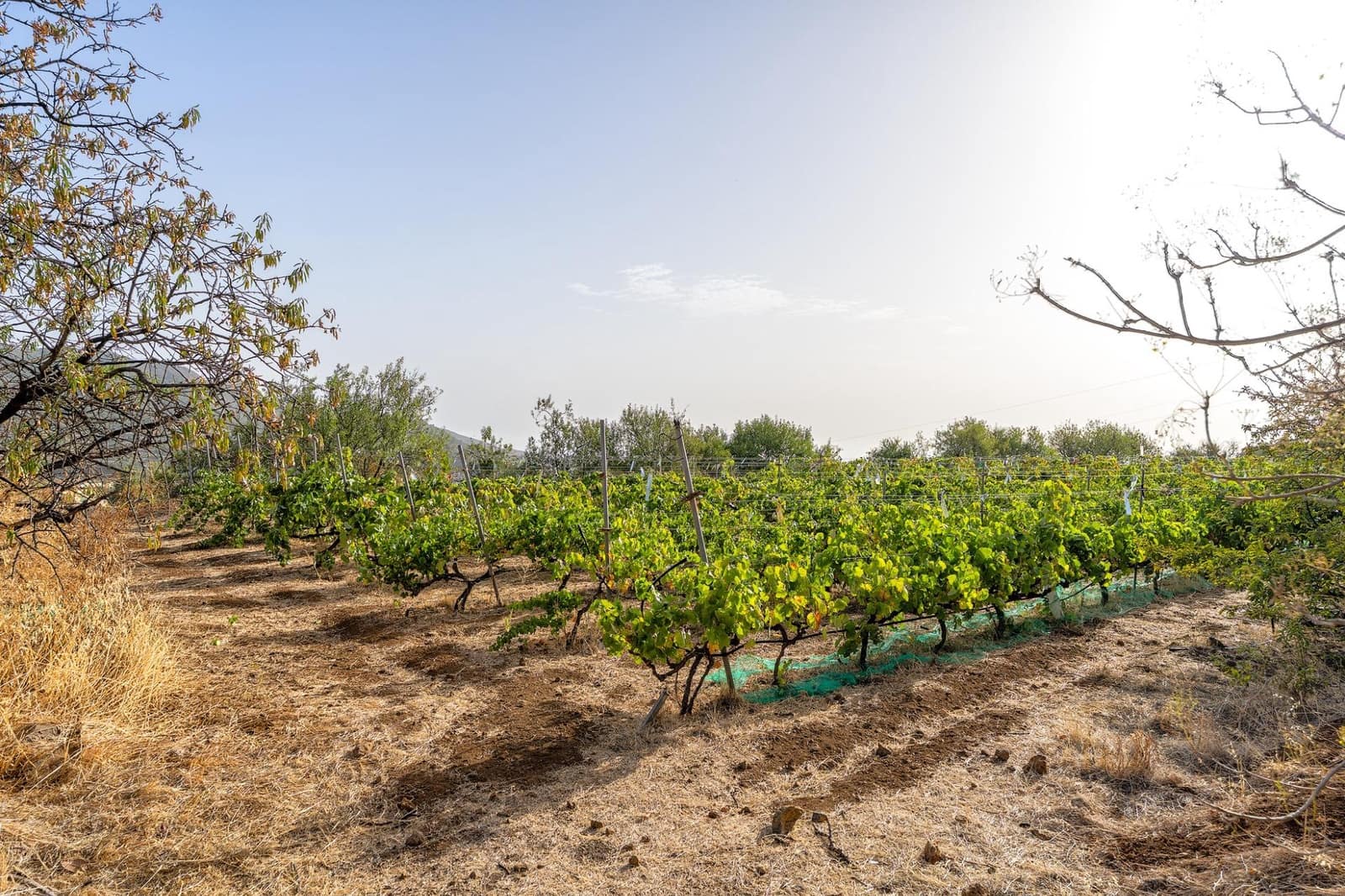 3 bedroom Finca/Country House for sale in Valsequillo with garage - € 800,000 (Ref: 10115885)