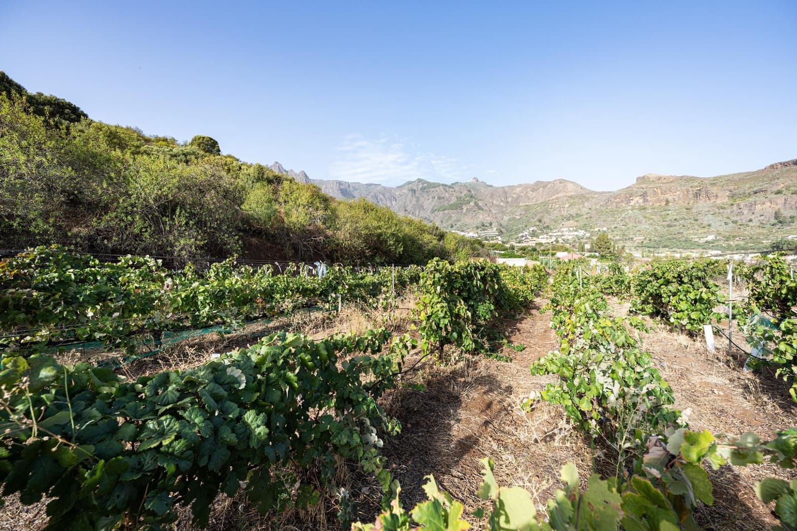 3 bedroom Finca/Country House for sale in Valsequillo with garage - € 800,000 (Ref: 10115885)