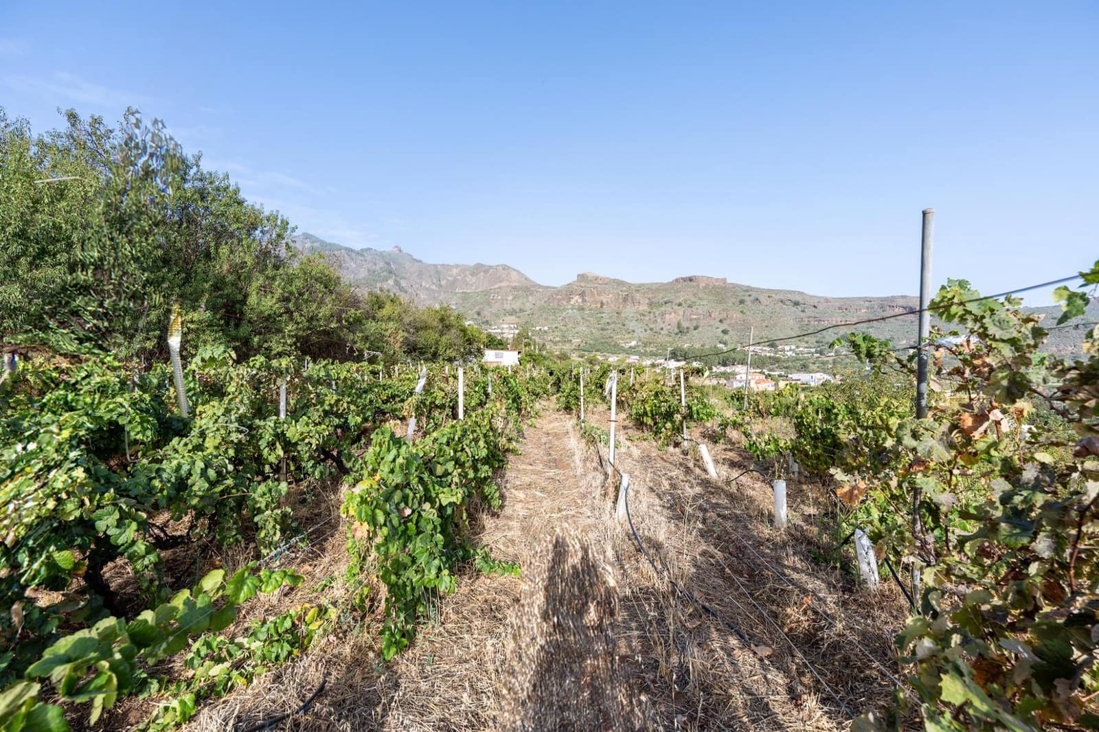 3 bedroom Finca/Country House for sale in Valsequillo with garage - € 800,000 (Ref: 10115885)