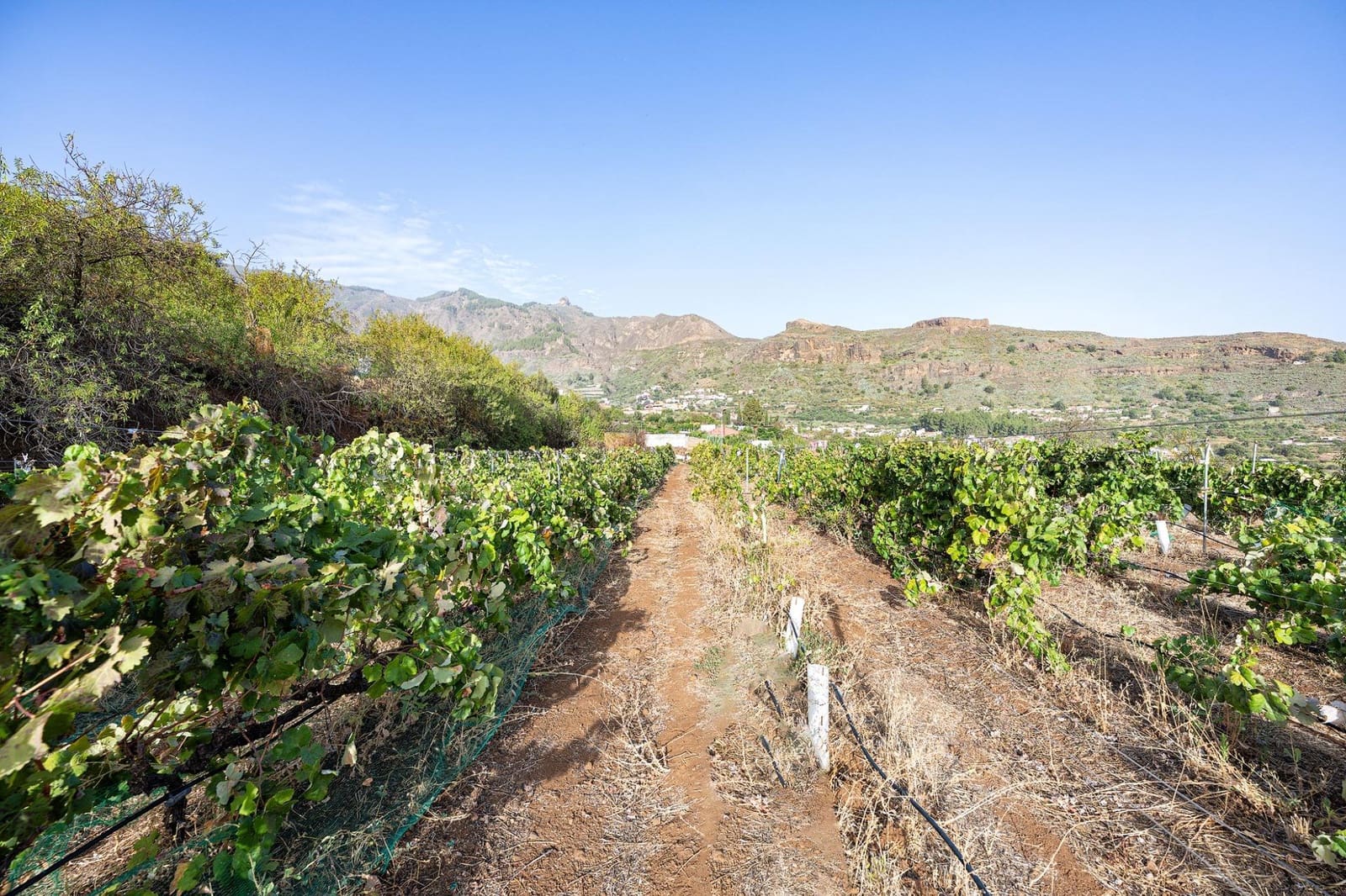 3 bedroom Finca/Country House for sale in Valsequillo with garage - € 800,000 (Ref: 10115885)