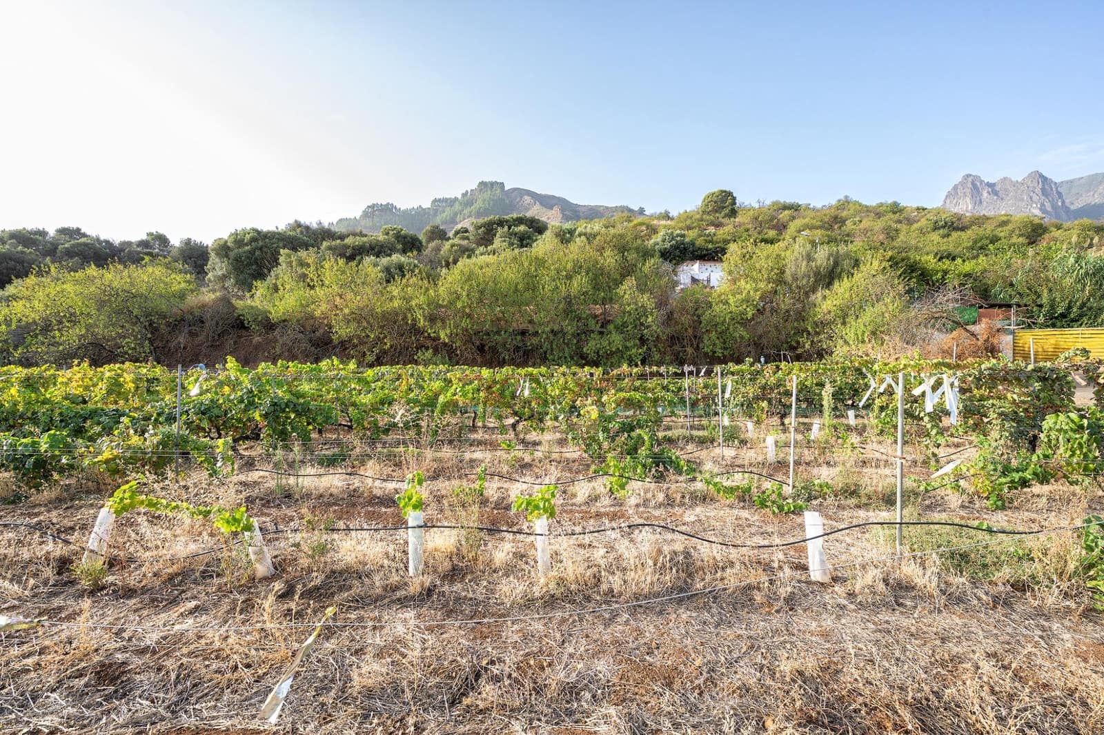 3 bedroom Finca/Country House for sale in Valsequillo with garage - € 800,000 (Ref: 10115885)