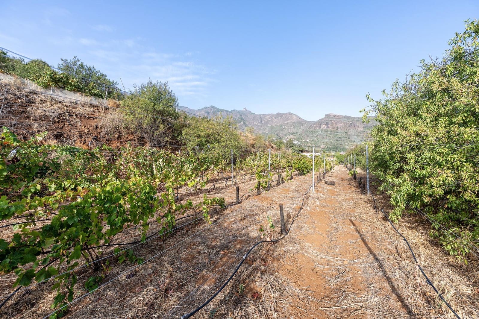 3 bedroom Finca/Country House for sale in Valsequillo with garage - € 800,000 (Ref: 10115885)