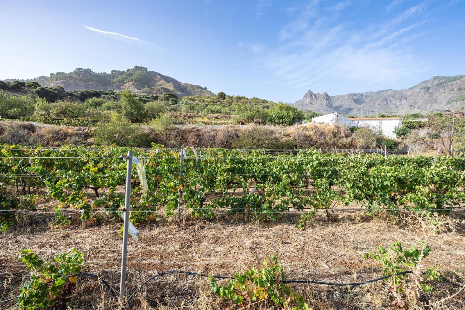3 bedroom Finca/Country House for sale in Valsequillo with garage - € 800,000 (Ref: 10115885)