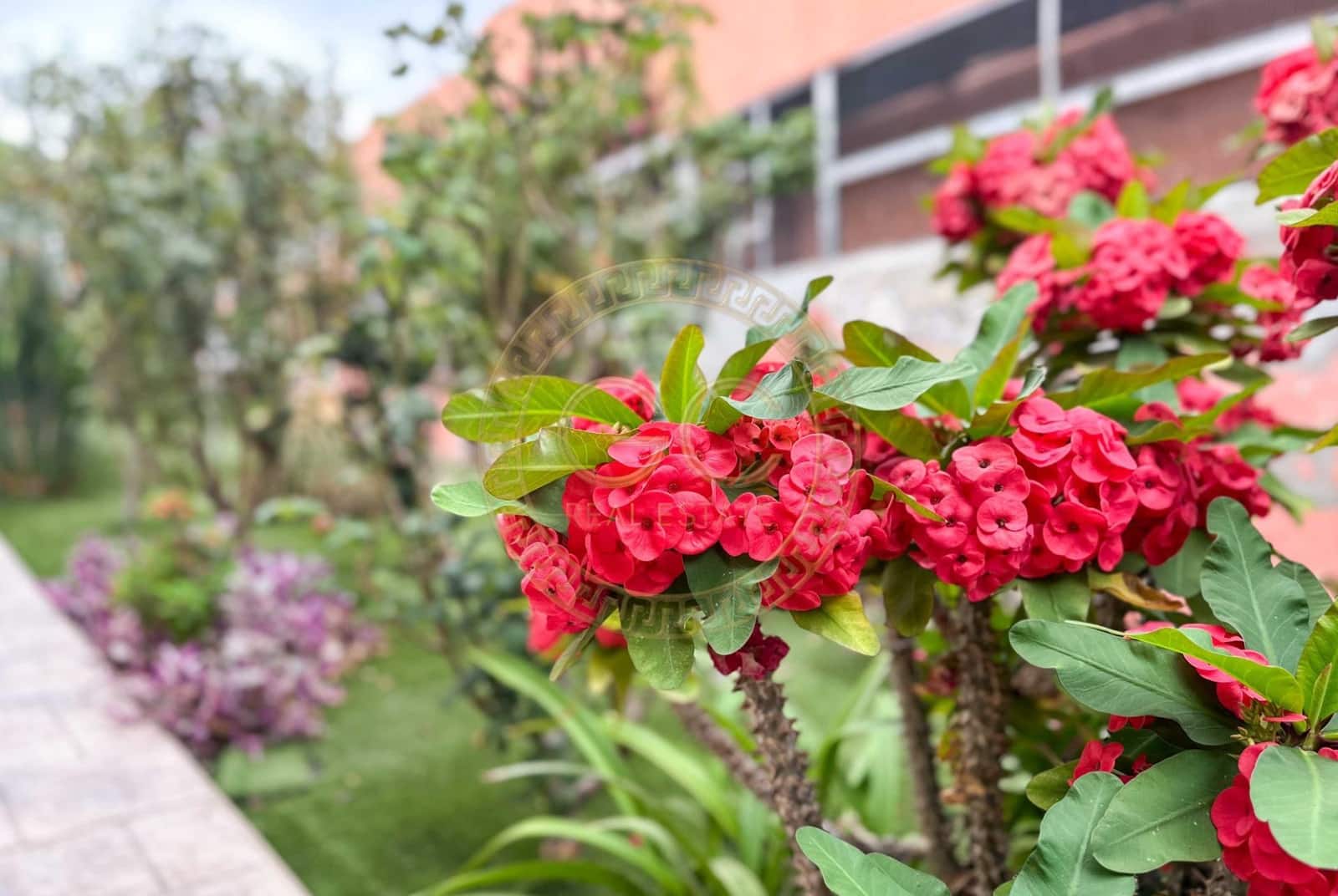 5 bedroom Villa for sale in El Salobre with pool garage - € 799,000 (Ref: 8363196)