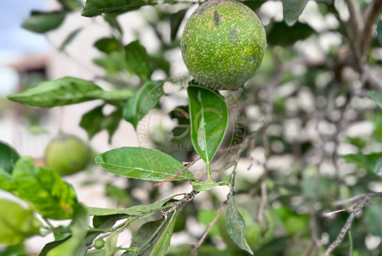 5 bedroom Villa for sale in El Salobre with pool garage - € 799,000 (Ref: 8363196)