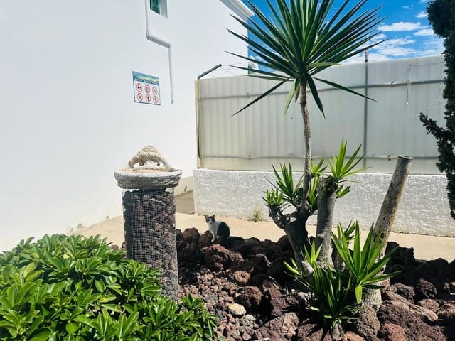 1 slaapkamer Appartement te huur in Campo Internacional, San Bartolomé de Tirajana met zwembad - € 1.200 (Ref: 9788374)