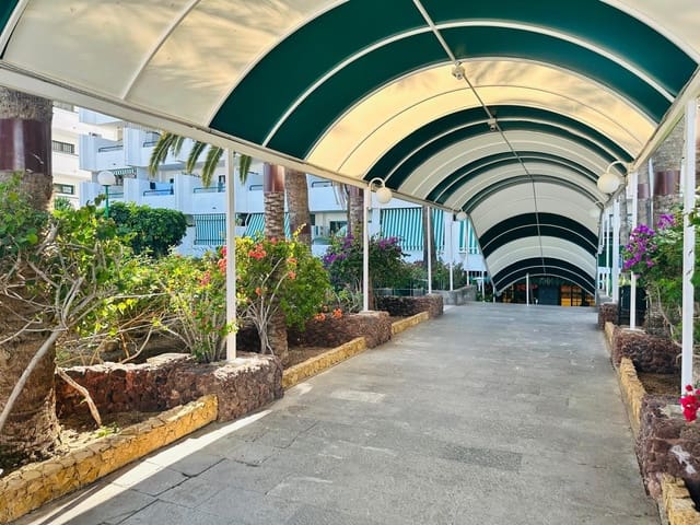 Apartamento de 1 habitación en Sonneland, San Bartolomé de Tirajana en alquiler con piscina - 950 € (Ref: 9822894)