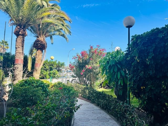 Apartamento de 1 habitación en Sonneland, San Bartolomé de Tirajana en alquiler con piscina - 950 € (Ref: 9822894)