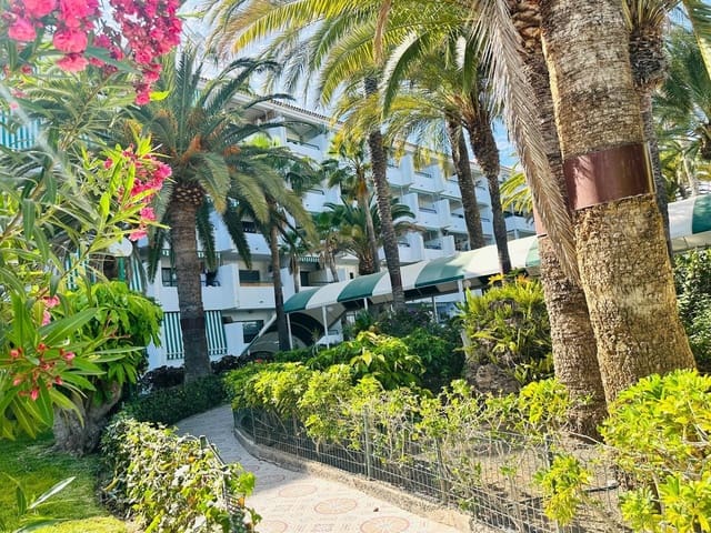 Apartamento de 1 habitación en Sonneland, San Bartolomé de Tirajana en alquiler con piscina - 950 € (Ref: 9822894)