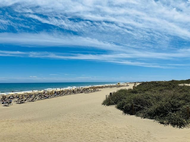 Entreprise à vendre à Playa del Inglés, San Bartolomé de Tirajana - 1 195 000 € (Ref: 9833627)