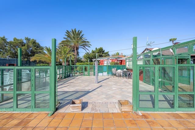 Erhverv til salg i Maspalomas, San Bartolomé de Tirajana med swimmingpool - € 189.000 (Ref: 9878778)